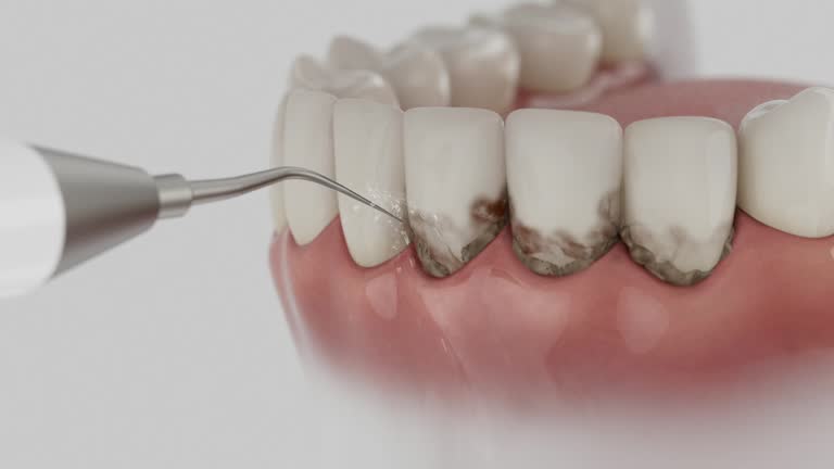 Reliable Dental contractor in The Crossings, FL by Dentist Open Now